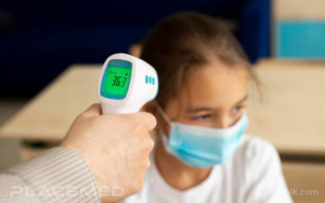Digital Thermometer in Medicine: Complete Guide for Professionals