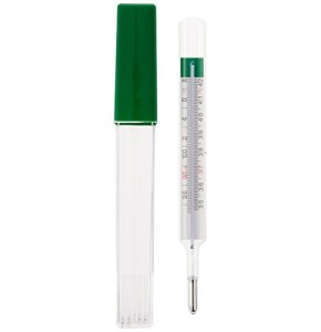 Geratherm Thermometer, Mercury-Free Oral by R G MEDICALISES by R G MEDICALISES