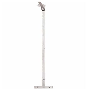 Wall-Mounted Adult Height Measure 222 SECA - Precision and Comfort