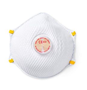 SolidWork Set of 10 FFP3 Respiratory Masks