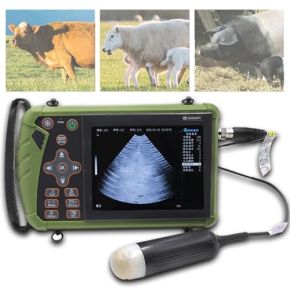 Sunmme Portable Veterinary Ultrasound, Pregnancy Tester