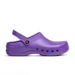 Dian Eva Work Clog - Purple