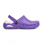 Dian Eva Soft Work Clog - Purple