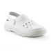 Lightweight Perforated Antistatic Slip-On Work Clog with Safety Toe - Codeor Nizzap V 5845