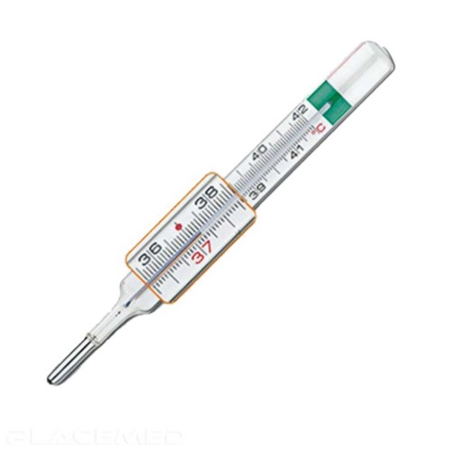 Gallium Vedo eco Plus Thermometer