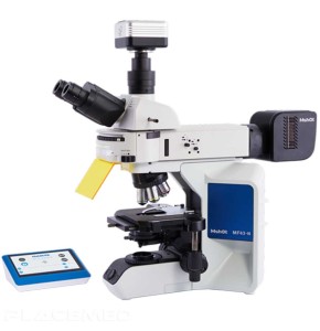 Fluorescence microscope - MF43-N - Mshot Brand